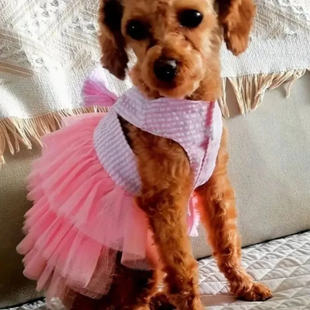 N/A pink dog